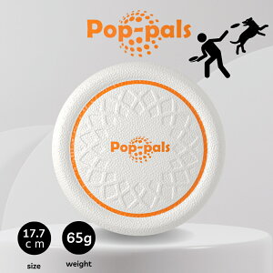  tXr[ GiGwi |bvp tCOfBXN 17.7cm  fBXN ^ ^ ^ AEghA \tg 