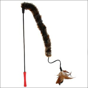 L̂ PLATZ@GW LeB[eB[U[ e[tFU[ L̖{\铮̓\łL炵