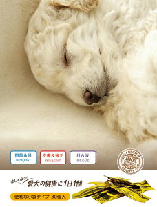 j[gVg[c30  Tvg  ֐߁ / 畆 / ځ