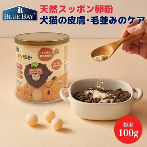  L Tv richer coatib`[R[gj ∤ĽNƔeT|[g Xb|  rI`  畆 ֐    h{T|[g̃Tvg