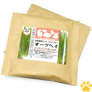 y5z[͔|F2026/1/31] [Ki] [2Zbg]C[X^[@ZNVt@[@q͔|Zbg tB@I[cwCq@{y@@bg@``@nX^[@