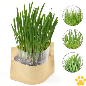 y11z[4Zbg][Ki] C[X^[@}CK[f@q͔|Zbg@I[c / C^ACOX / EB[g / o[[q@{y{e@@bg@``@n