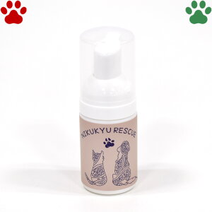 y2z XL[@30ml{@A^Cv@p@Lp@@ہ@ێ@VR@AR[t[@@pEPA@PA@ی@XLPA@Y@SES