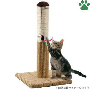 y30z }J@ǂłcƂ^[S@CT-265lY~̂t@Lp@܂Ƃ@܂݂@Hsv@ȒP@RpNg@߂Ƃ@KK@cƂ@܌@I`@|[