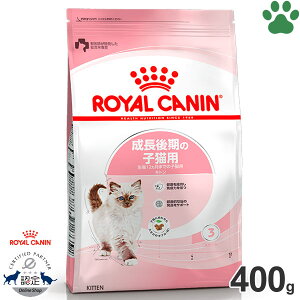 y5z [Ki] CJi@LhC@Lg@400g̎qLp(12ȉ)@hCt[h@Lbgt[h@CJi@FHN