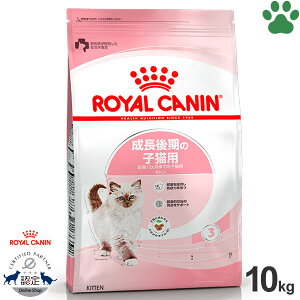 y105z [Ki] CJi@LhC@Lg@10kg̎qLp(12ȉ)@hCt[h@Lbgt[h@CJi@FHN