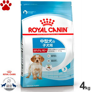 y35z [Ki] CJi@hC@~fBA@ps[@4kg^̎qp(2`12)@hCt[h@hbOt[h@CJi@M@SHN