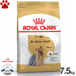 y70z[Ki] CJi@hC@[NV[eA@`p(10ȏ)@7.5kghCt[h@hbOt[h@CJi@BHN