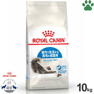 y105z [Ki] CJi@LhC@ChA@OwA[@10kgŐ钷т̐Lp(12`7)@ю@hCt[h@Lbgt[h@CJi@FHN