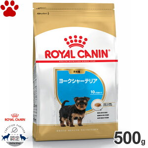 y6z [ܖF2026/8/3][Ki] CJi@hC@[NV[eA@qp(10ȉ)@500ghCt[h@hbOt[h@CJi@BHN