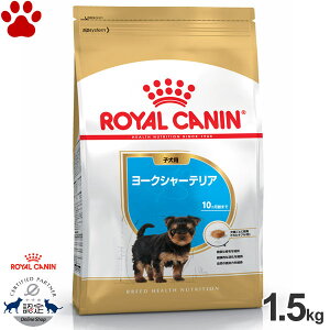 y16z[ܖF2026/7/15][Ki] CJi@hC@[NV[eA@qp(10ȉ)@1.5kghCt[h@hbOt[h@CJi@BHN