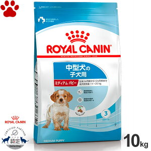 y105z [Ki] CJi@hC@~fBA@ps[@10kg^̎qp(2`12)@hCt[h@hbOt[h@CJi@M@SHN