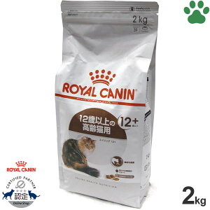 y16z [Ki] CJi@LhC@GCWO 12+@2kg12Έȏ̍Lp(12Έȏ)@+12@hCt[h@Lbgt[h@CJi@FHN