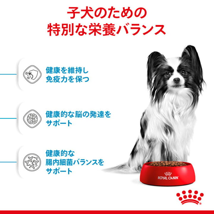 楽天市場】【28】 [正規品] ロイヤルカナン 犬ドライ エクストラ 