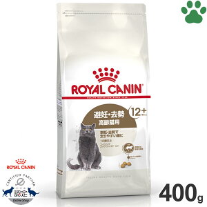 y5z[ܖF2026/5/23] [Ki] CJi@LhC@GCWO@XeACYh 12+@400gDE@Lp(12Έȏ)@DEő₷LɁ@+12@hCt[h@L