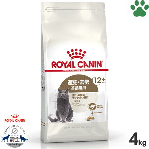 y35z [Ki] CJi@LhC@GCWO@XeACYh 12+@4kgDE@Lp(12Έȏ)@DEő₷LɁ@+12@hCt[h@Lbgt[h@C