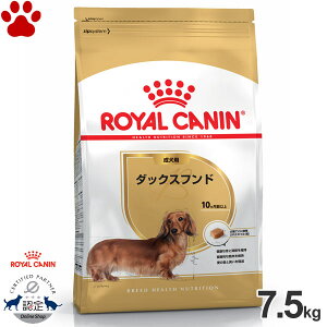 y70z[Ki] CJi@hC@_bNXth@p(10ȏ)@7.5kghCt[h@hbOt[h@CJi@BHN