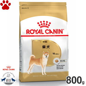 y9z[Ki] CJi@hC@Č@p(10`8)@800ghCt[h@hbOt[h@CJi@BHN