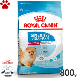 【9】 [正規品] ロイヤルカナン　犬ドライ　ミニ　インドア　パピー　800g室内で生活する小型犬の子犬用(生後2～10ヵ月)　ドライフード　ドッグフード　ロイカナ　S　SHN