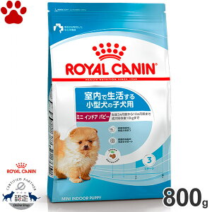 y9z [Ki] CJi@hC@~j@ChA@ps[@800gŐ鏬^̎qp(2`10)@hCt[h@hbOt[h@CJi@S@SHN