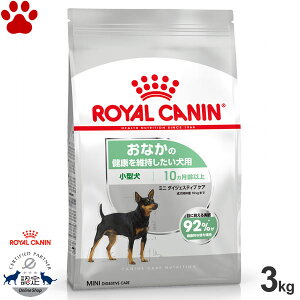 y28z [Ki] CJi@hC@~j@_CWFXeBuPA@3kgȂ̌Nێp@^p@`p(10ȏ)@NIȕւێ@@@