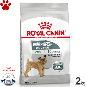 y20z [Ki] CJi@hC@~j@f^PA@2kgCE΂CɂȂ錢p@^p@`p(10ȏ)@@I[PA@hCt[h@hbOt[