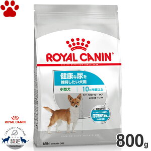 y9z [Ki] CJi@hC@~j@i[PA@800gNȔAێp@^p@`p(10ȏ)@AH΁@A@hCt[h@hbOt