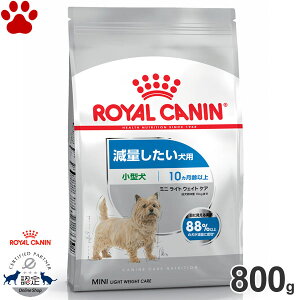 y9z [Ki] CJi@hC@~j@Cg EFCg PA@800gʂp@^p@`p(10ȏ)@얞@̏dǗ@_CGbg@hCt[h@h