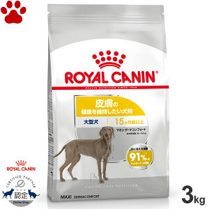 y28z[ܖF2026/2/6][Ki] CJi@hC@}LV@_[}RtH[g@3kg畆̌Nێp@^p@`p(15ȏ)@hCt[h@h