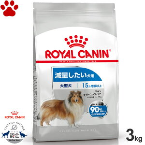 y28z [Ki] CJi@hC@}LV@Cg EFCg PA@3kgʂp@^p@`p(15ȏ)@얞@̏dǗ@_CGbg@hCt[h@