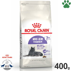 y5z[Ki] CJi@LhC@XeACYh 7+@400gDE@Lp(7`12)@DEő₷LɁ@+7@hCt[h@Lbgt[h@CJi@FHN