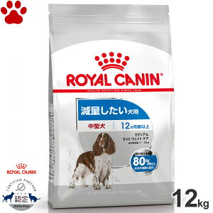 y0z [Ki] CJi@hC@~fBA@Cg EFCg PA@12kgʂp@^p@`p(12ȏ)@얞@̏dǗ@_CGbg@hCt[