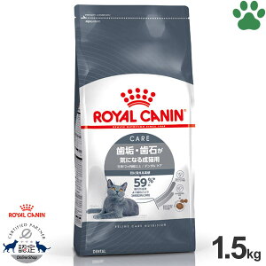 y15z [Ki] CJi@LhC@f^PA@1.5kgCE΂CɂȂ鐬Lp(12ȏ)@@I[PA@hCt[h@Lbgt[h@CJi@FCN