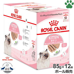 y11z [{[][Ki] CJi@LpE`@Lg@[t@85g × 12̎qLp(12ȉ)@Lp(DP)@12܂ł̎qLp@[tin\[X@EFbgt