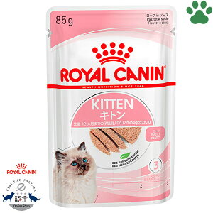 y2z [Ki] CJi@LpE`@Lg@[t@85g̎qLp(12ȉ)@Lp(DP)@12܂ł̎qLp@[tin\[X@EFbgt[h@Lbg