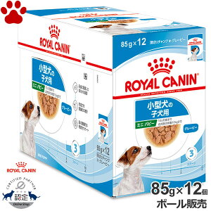 y11z [{[][Ki] CJi@pE`@~j@ps[@85g × 12^̎qp(10ȉ)@`NinO[r[@EFbgt[h@hbOt[h@CJi@S@SHN@Z