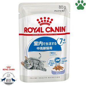 y2z [Ki] CJi@LpE`@ChA 7+@[[@85gŐ钆Lp(7`12)@`Nin[[@+7@EFbgt[h@Lbgt[h@CJi@FHN