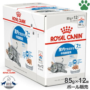 y11z [{[][Ki] CJi@LpE`@ChA 7+@[t@85g × 12Ő钆Lp(7`12)@+7@EFbgt[h@Lbgt[h@CJi@FHN@Zbg@P[