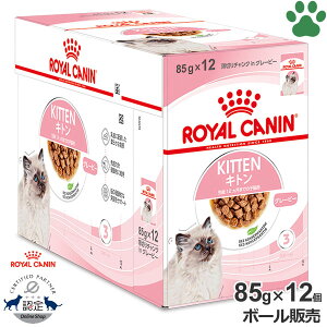 y11z [{[][Ki] CJi@LpE`@Lg@O[r[@85g × 12̎qLp(12ȉ)@Lp(DP)@12܂ł̎qLp@`NinO[r[@