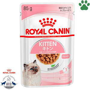 y2z [Ki] CJi@LpE`@Lg@O[r[@85g̎qLp(12ȉ)@Lp(DP)@12܂ł̎qLp@`NinO[r[@EFbgt[h