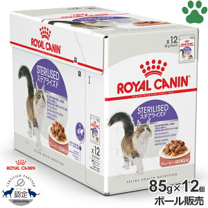 y11z [{[][Ki] CJi@LpE`@XeACYh@O[r[@85g × 12K̏d̈ێLp(12`7)@H~ADEő₷LɁ@`