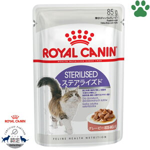 y2z [Ki] CJi@LpE`@XeACYh@O[r[@85gK̏d̈ێLp(12`7)@H~ADEő₷LɁ@`NinO[r