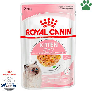 y2z [Ki] CJi@LpE`@Lg@[[@85g̎qLp(12ȉ)@Lp(DP)@12܂ł̎qLp@`Nin[[@EFbgt[h@Lb