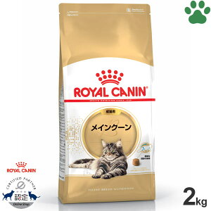 y16z [Ki] CJi@LhC@CN[@Lp(15`12)@2kghCt[h@Lbgt[h@CJi@FBN