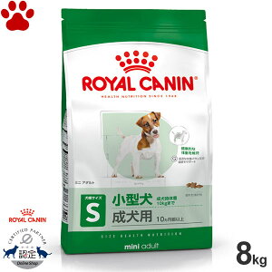 y70z [Ki] CJi@hC@~j@A_g@8kg^̐p(10ȏ)@hCt[h@hbOt[h@CJi@S@SHN