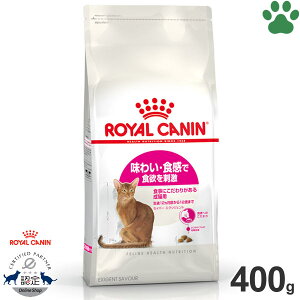 y5z [Ki] CJi@LhC@ZCo[@GNVWFg@400g킢EHŐH~h@Hɂ肪鐬Lp(12`12)@GNVWFg35/30@hCt[h