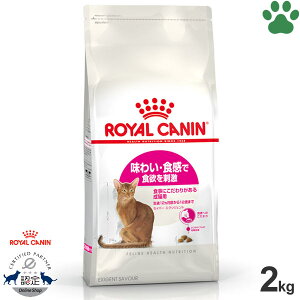 y16z [Ki] CJi@LhC@ZCo[@GNVWFg@2kg킢EHŐH~h@Hɂ肪鐬Lp(12`12)@GNVWFg35/30@hCt[h