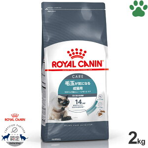 y16z [Ki] CJi@LhC@wA{[PA@2kgыʂCɂȂ鐬Lp(12ȏ)@ыǁ@ыʁ@CeXwA{[@hCt[h@Lbgt[h@CJi@