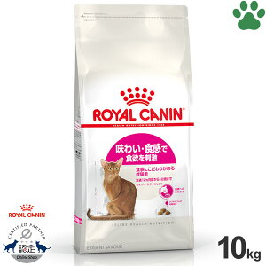 y105z [Ki] CJi@LhC@ZCo[@GNVWFg@10kg킢EHŐH~h@Hɂ肪鐬Lp(12`12)@GNVWFg35/30@hCt[h