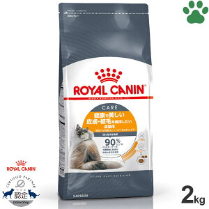 y16z [Ki] CJi@LhC@wA[XLPA@2kgNŔ畆EтێLp(12ȏ)@щ@ѕ݁@hCt[h@Lbgt[h@CJi